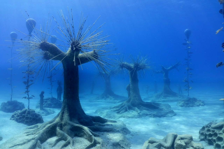 Plongée sous-marine - Parc de sculptures sous-marines de Musan