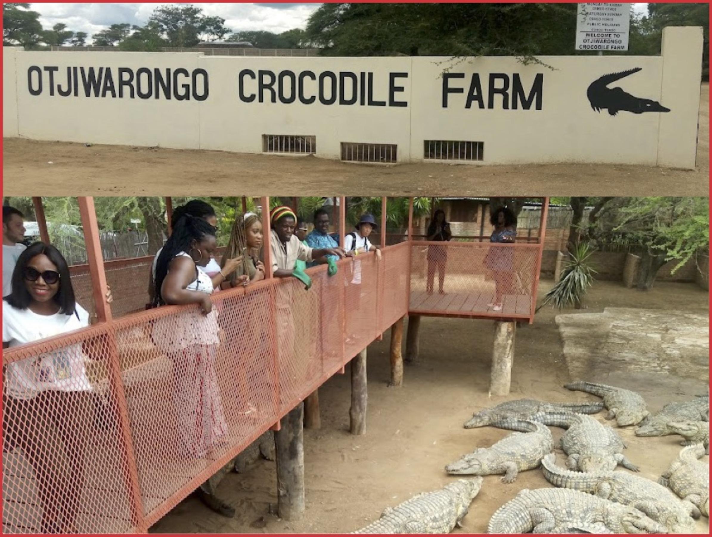 Otjiwarongo: Führung auf einer Krokodilfarm und Transfer