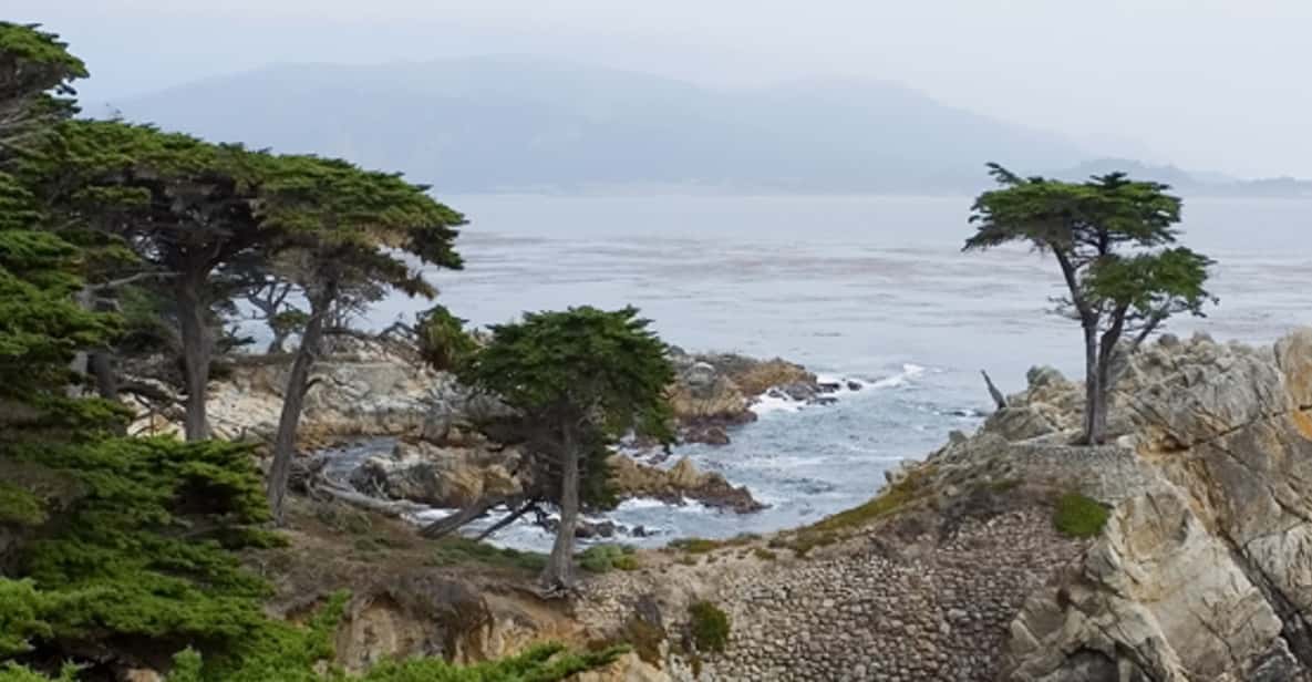 San Fran: Carmel, Monterey & Big Sur Full-Day Private Tour