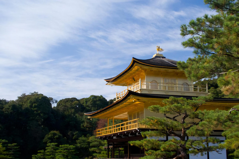 Nara: Private Car Tour with Pickup from Osaka or Kyoto