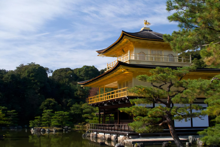 Nara: Private Car Tour with Pickup from Osaka or Kyoto