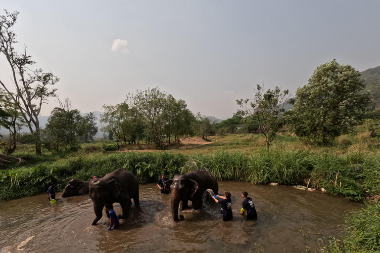 Full-day with CHIANGMAI ELEPHANT CARE and Sticky waterfall