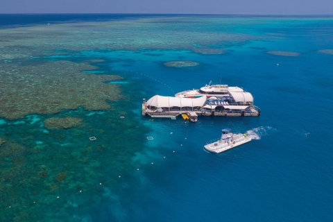 From Cairns: Green Island + Moore Reef Pontoon Combo Green Island & Moore Reef Pontoon Combo