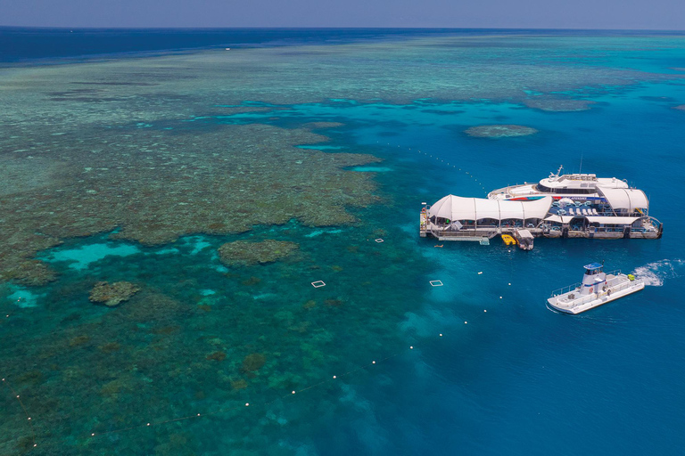 Da Cairns: Combo Isola Verde + pontone di Moore ReefIsola Verde e Moore Reef Pontoon Combo