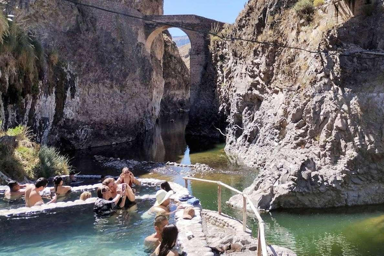 Da Arequipa: escursione di un giorno nel Canyon del Colca con pasti a buffet