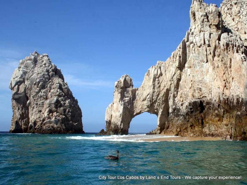 Los Cabos: Day Tour with Tequila and Chocolate Tasting | GetYourGuide