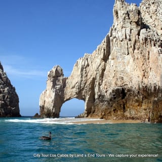 The BEST Los Cabos Chocolate tours 2023 - FREE Cancellation | GetYourGuide