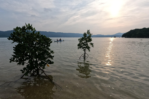 Okinawa: Private Kayak Mangrove or Reef with Native EnglishOkinawa: Private Kayak Tour with English-Speaking Guide