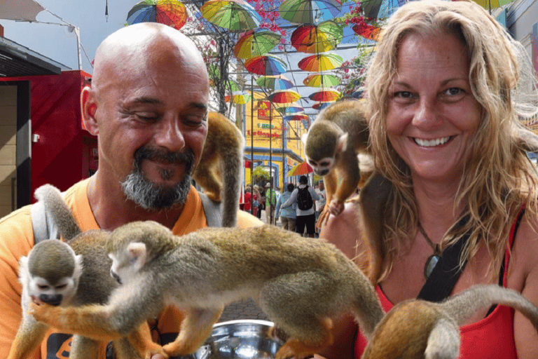 Puerto Plata: Cultural Tour & Ethical Monkey Observation