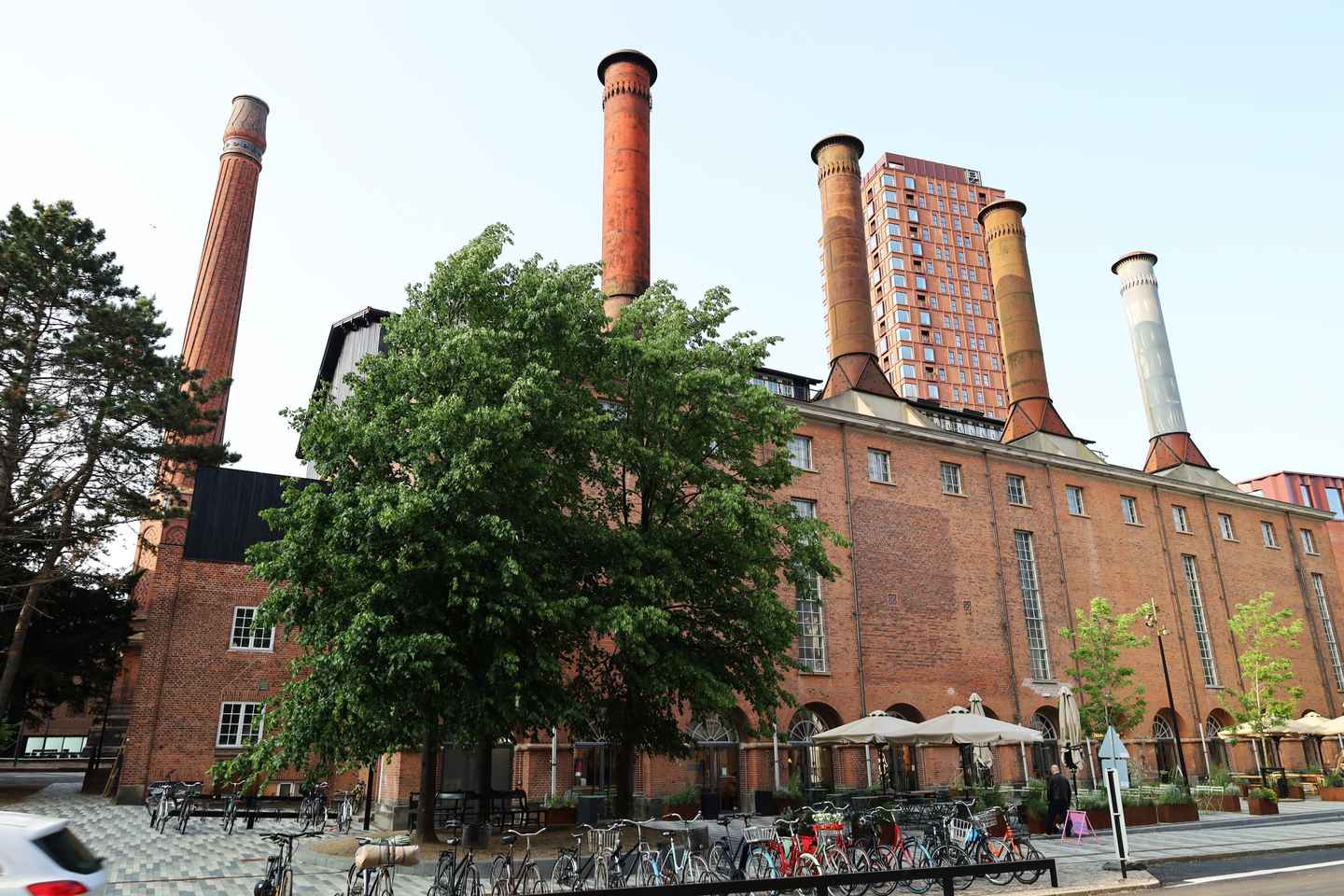 Copenhagen: Industrial past and Carlsberg City Walking Tour