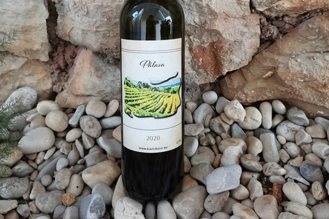Bratislava: A Fairy Tale Day in Moravia’s Wine Country - CZ Private Group - from Bratislava