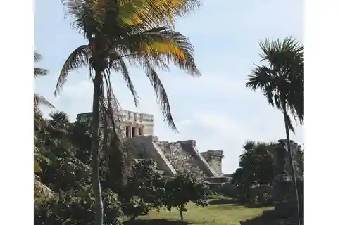 Tulum, cenote + swimming with Turtles PRIVATE TOUR