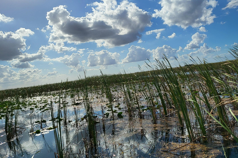 Everglades: boat tour with transportation& entrance included