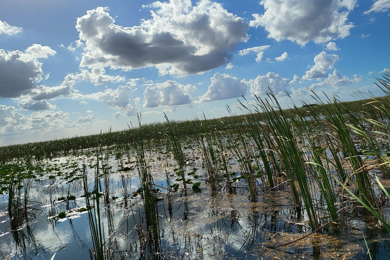 Everglades: boat tour with transportation& entrance included