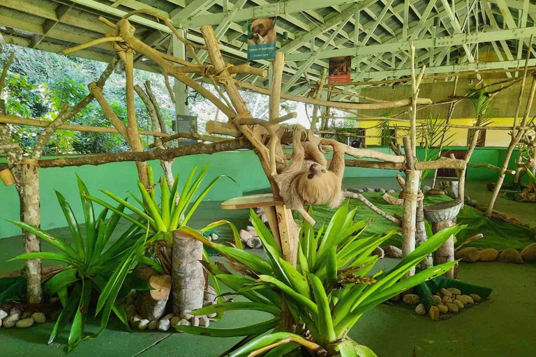 Panamá: Excursión a la Isla de los Monos, el Santuario de los Perezosos y el Lago Gatún