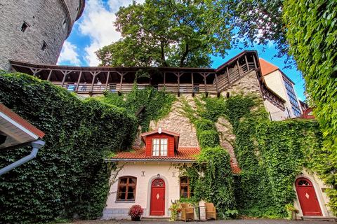 تالين: جولة سير خاصة وشخصية في البلدة القديمةتالين: جولة سير شخصية خاصة في البلدة القديمة لمدة 3 ساع