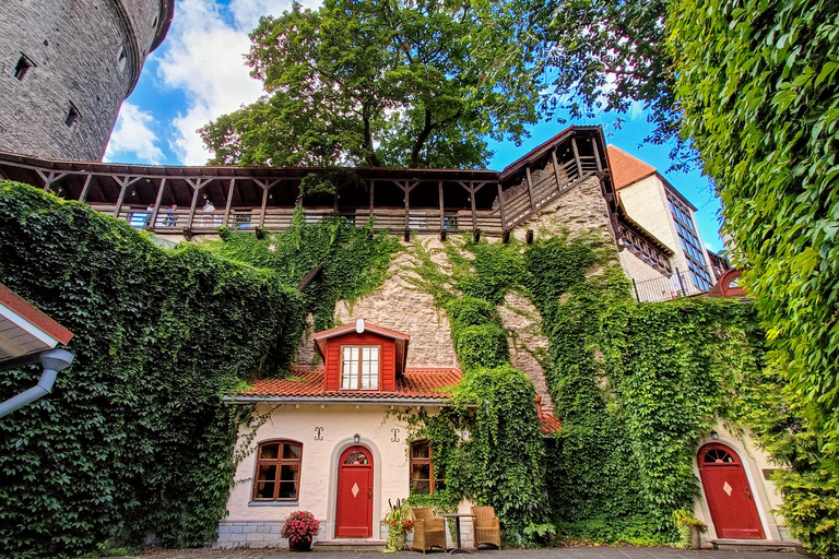 تالين: جولة سير خاصة وشخصية في البلدة القديمةتالين: جولة سير شخصية خاصة في البلدة القديمة لمدة 3 ساع