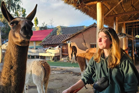 Cusco: Alpaca en Llama boerderij tour met transfer &amp; weefdemonstratie