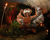 Cancun & RM, Xcaret Park, Xel-Ha & Chichen Itzá Combo de 3 días - Hizvo