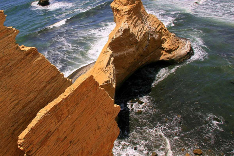 Depuis Ica : Îles Ballestas + Réserve nationale de Paracas