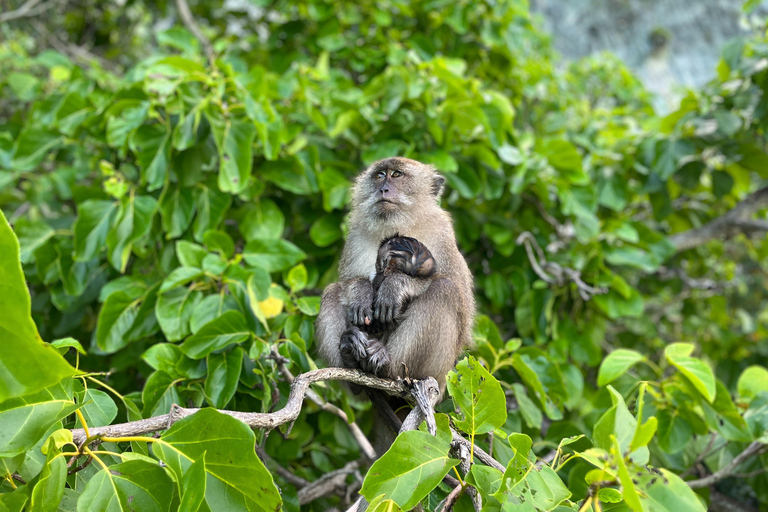 From Khao Lak: Phi Phi, Maya bay & Khai island Day Trip