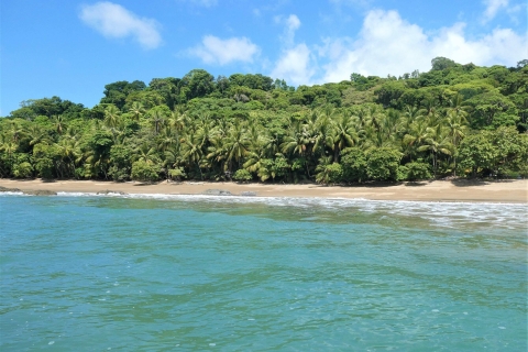 Bahía Drake: Explora Bahía Drake como un local Caminata guiada por la playa