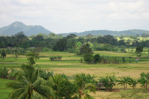 Multi-Day Tour: Udawalawe National Elephant Park Safari