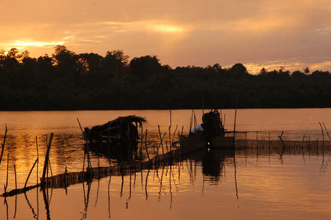 Madu Ganga : excursion en bateau sur la lagune des mangroves et Bentota