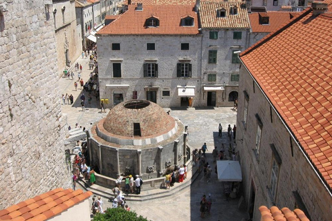 Dubrovnik Guided Tour from the City Walls