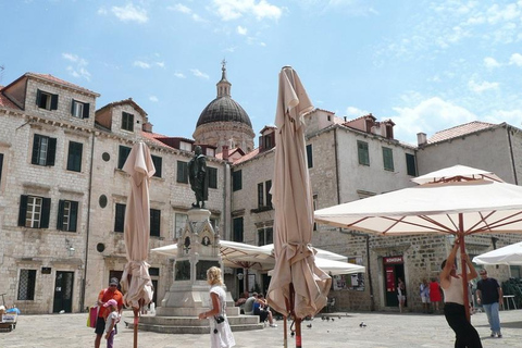 Dubrovnik Guided Tour from the City Walls