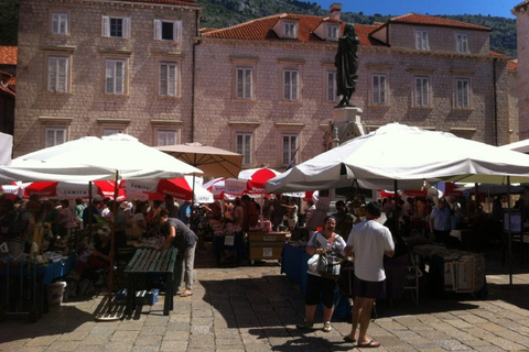 Dubrovnik Guided Tour from the City Walls