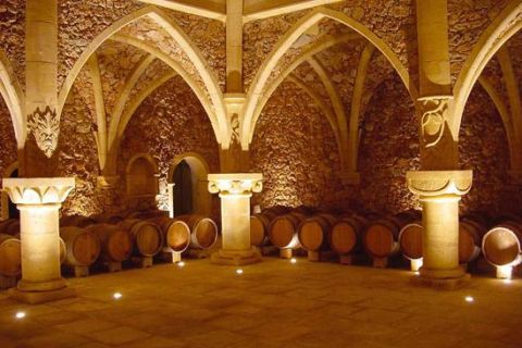Costa Azzurra: tour del vino provenzale
