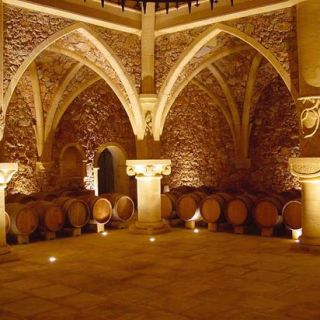 Costa Azzurra: tour del vino provenzale