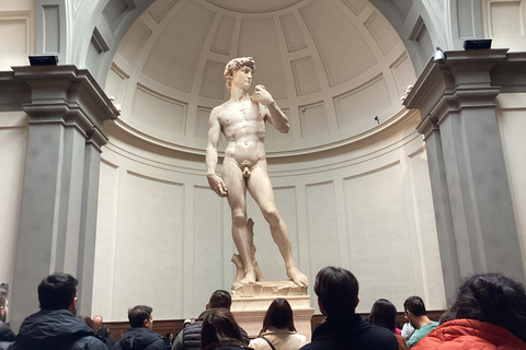 Florence: Accademia Gallery & David Statue Tour met kleine groepenGalleria dell'Accademia & David Statue Tour met kleine groepen in het Engels