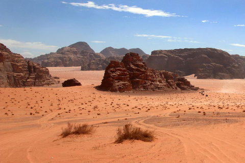 Tour privato Petra e wadi Rum