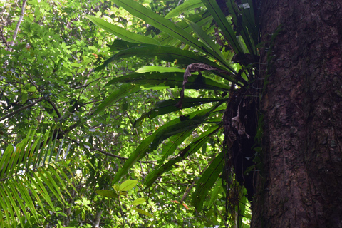 البرية: جولة مشي لمسافات طويلة ومشاهدة النجوم في خاو ياي لمدة يومينجولة المجموعات الصغيرة