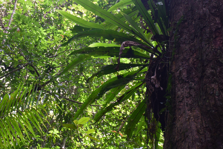 البرية: جولة مشي لمسافات طويلة ومشاهدة النجوم في خاو ياي لمدة يومينجولة المجموعات الصغيرة