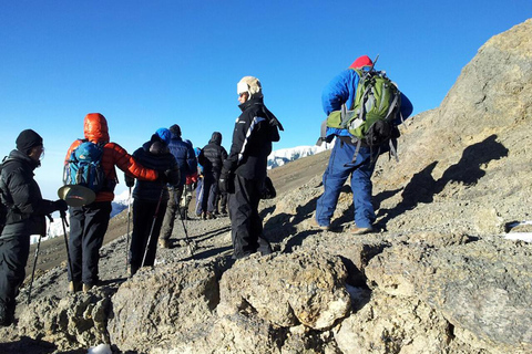 Avventura in vetta: Escursione di un giorno sul Monte Kilimangiaro