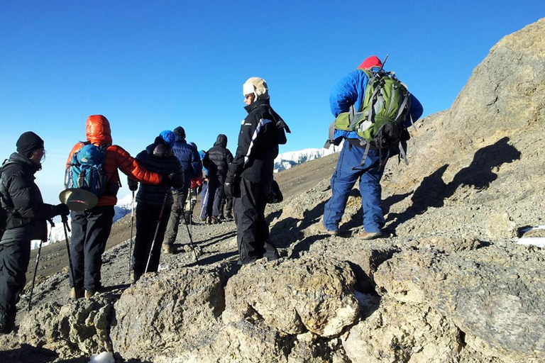 Aventure au sommet : Excursion d&#039;une journée au Mont Kilimandjaro