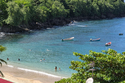 Private day trip to the south of Martinique: Rocher du Diamant and Anse Noire