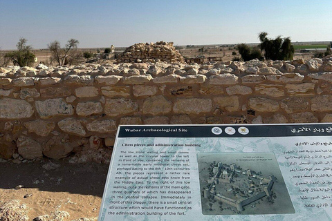 Salalah: Sunset desert safari tour in salalah(private tour) Desert Sunset with Dinner