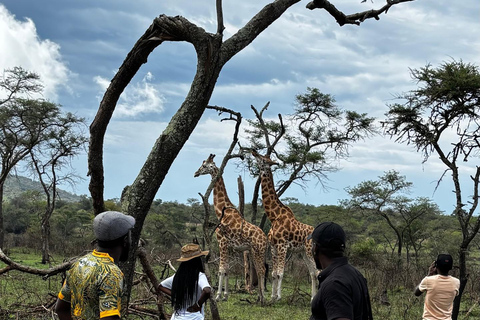 2 Day Lake Mburo Safari: Wildlife, Cycling, & Boat Ride