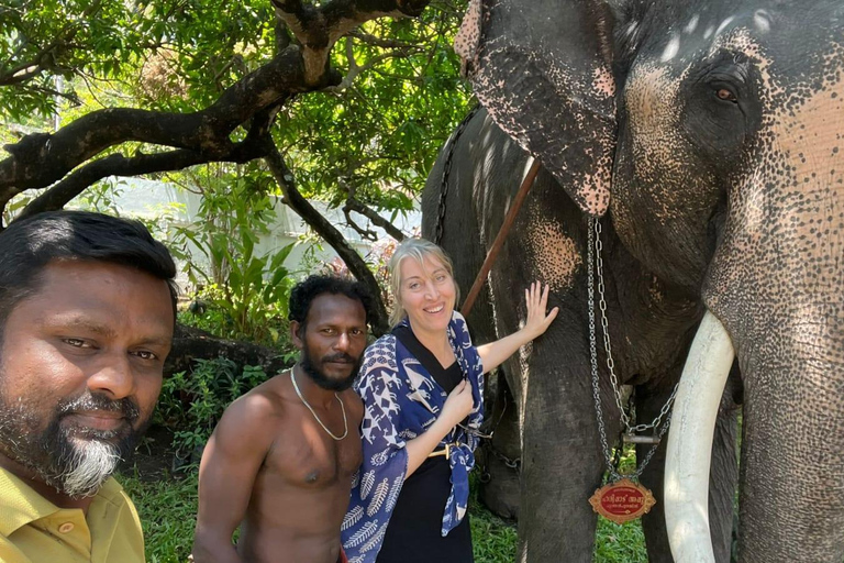 Kochi Tuk-Tuk Tour avec prise en charge à partir des bateaux de croisière