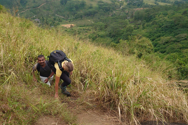 Kandy: Hanthana Lizard’s Back Hike