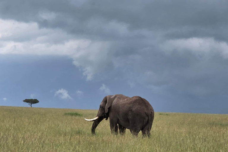 7 Days Best of Uganda Wildlife & Gorilla Encounter