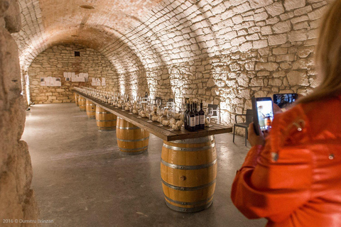 De Chisinau : visite d'un vignoble avec dégustation de vin à Castel MIMI