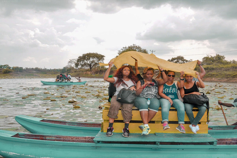 Kandy: Sigiriya Village Life Experience with Lunch