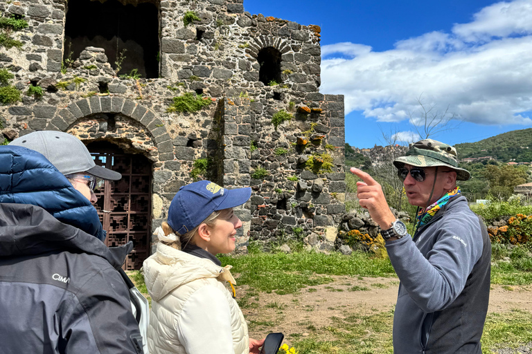 Catania: Etna 3000m and Alcantara Gorges Trek with Pickup