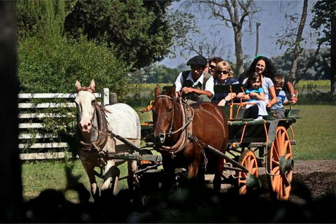 Gaucho Day Tour Don Silvano Estancia From Buenos Aires