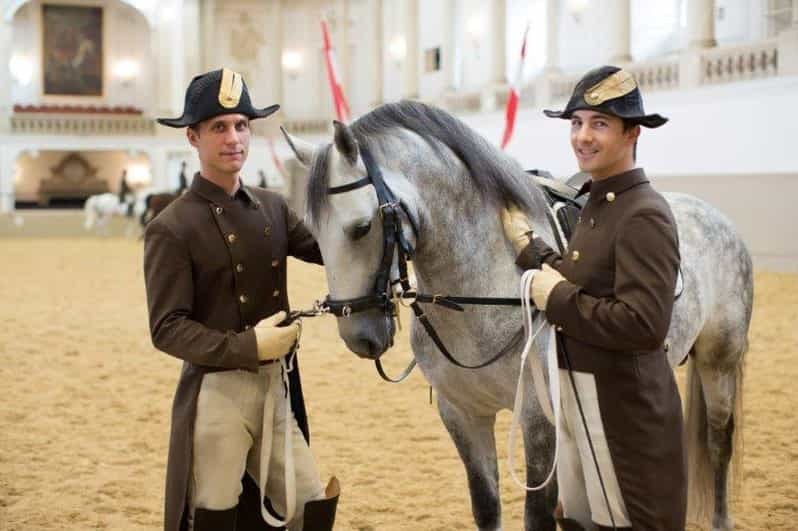 Vienna Spanish Riding School Training GetYourGuide